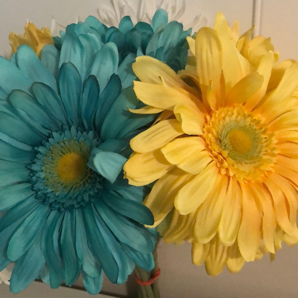 Nine Long Stem Daisies. - Picture 2 of 2